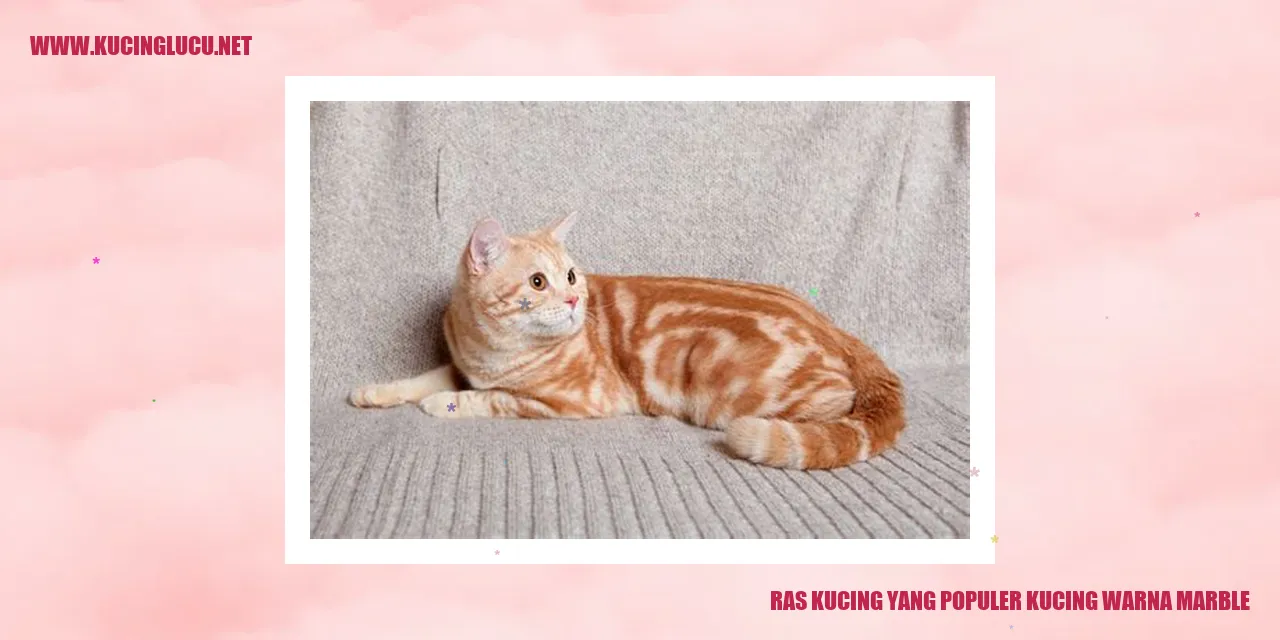 Marble Cat
