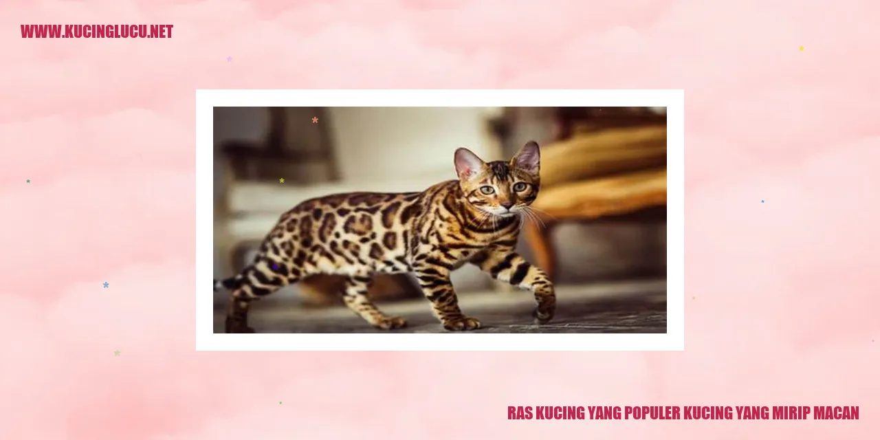 Kucing Mirip Macan