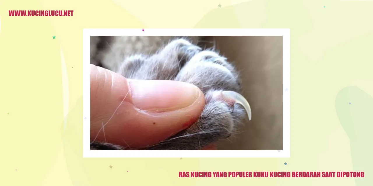 Gambar Kucing dengan Kuku Berdarah saat Dipotong