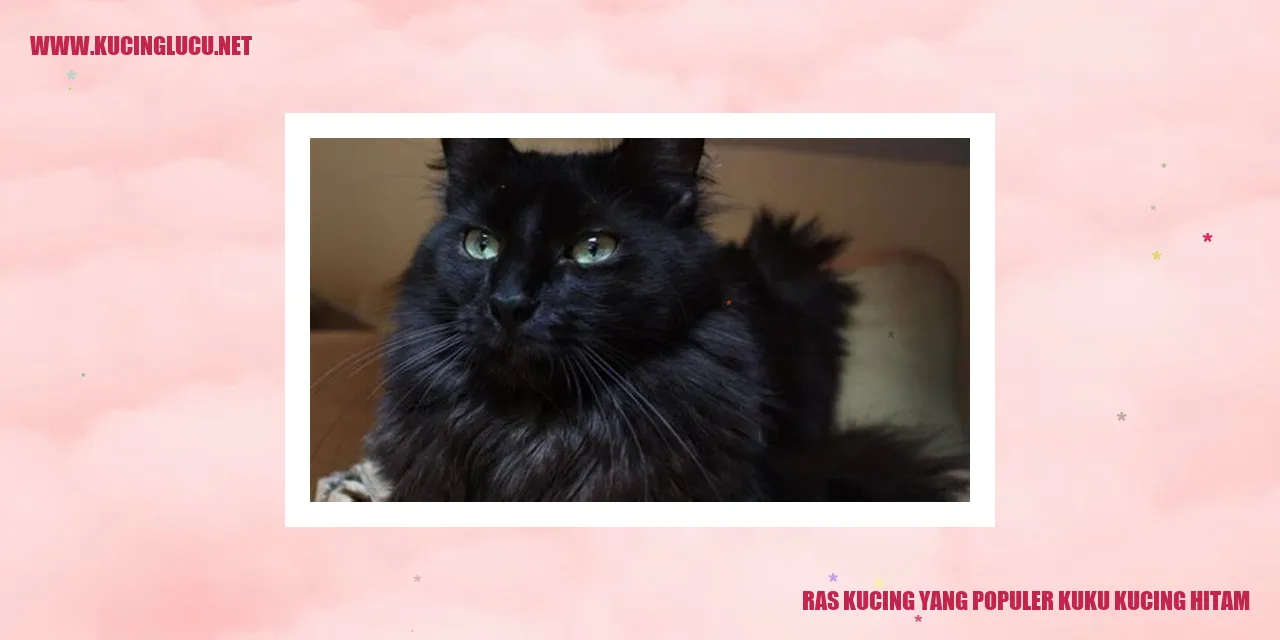 Ras Kucing yang Terkenal: Si Kucing Berkuku Hitam
