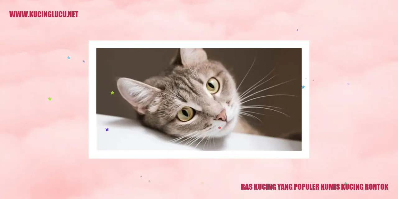 Ras Kucing yang Populer kumis kucing rontok