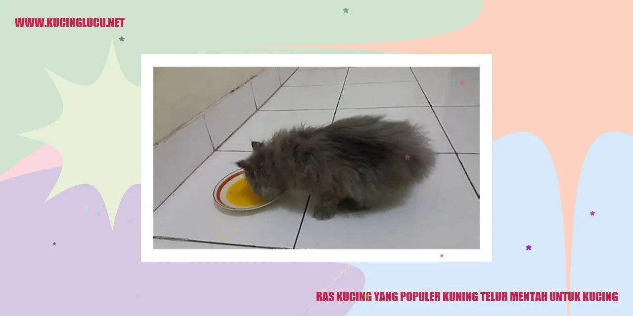 Ras Kucing