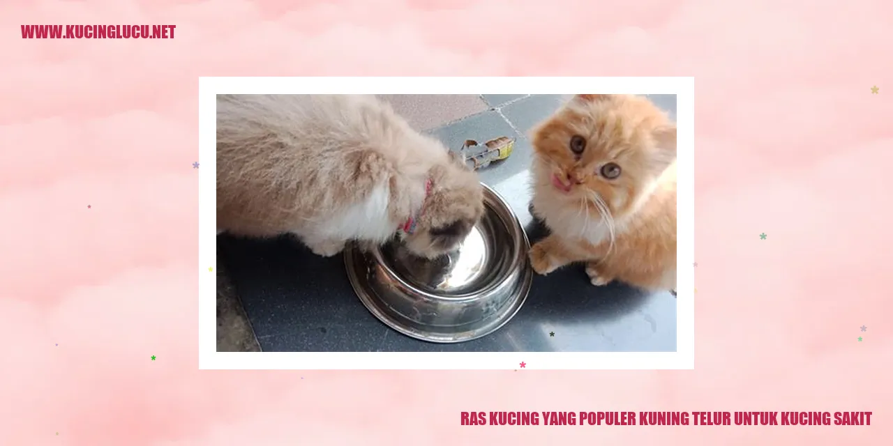 Kucing Sakit