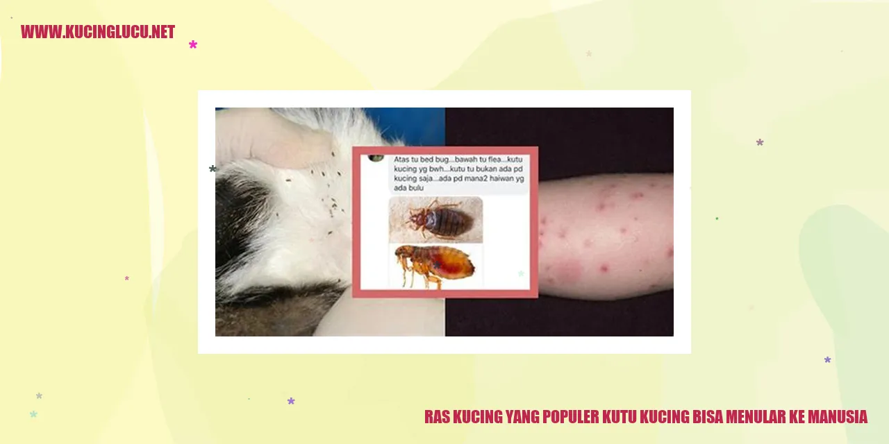 Ras Kucing yang Populer