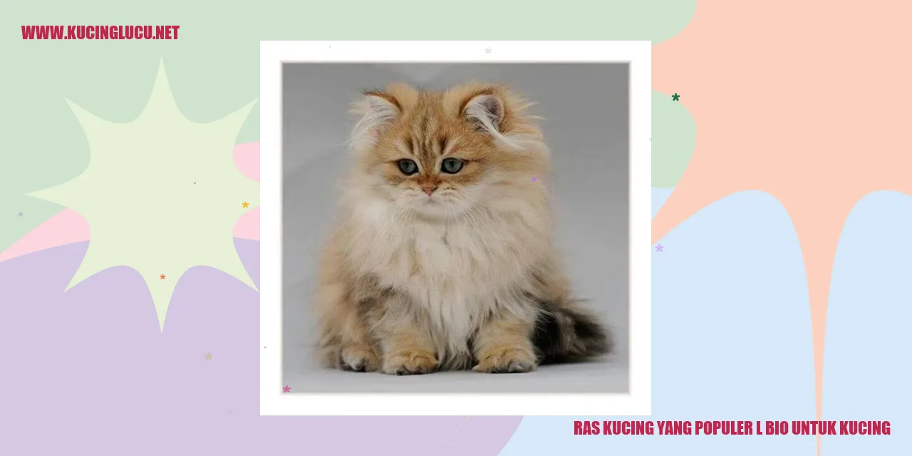 Ras Kucing yang Populer