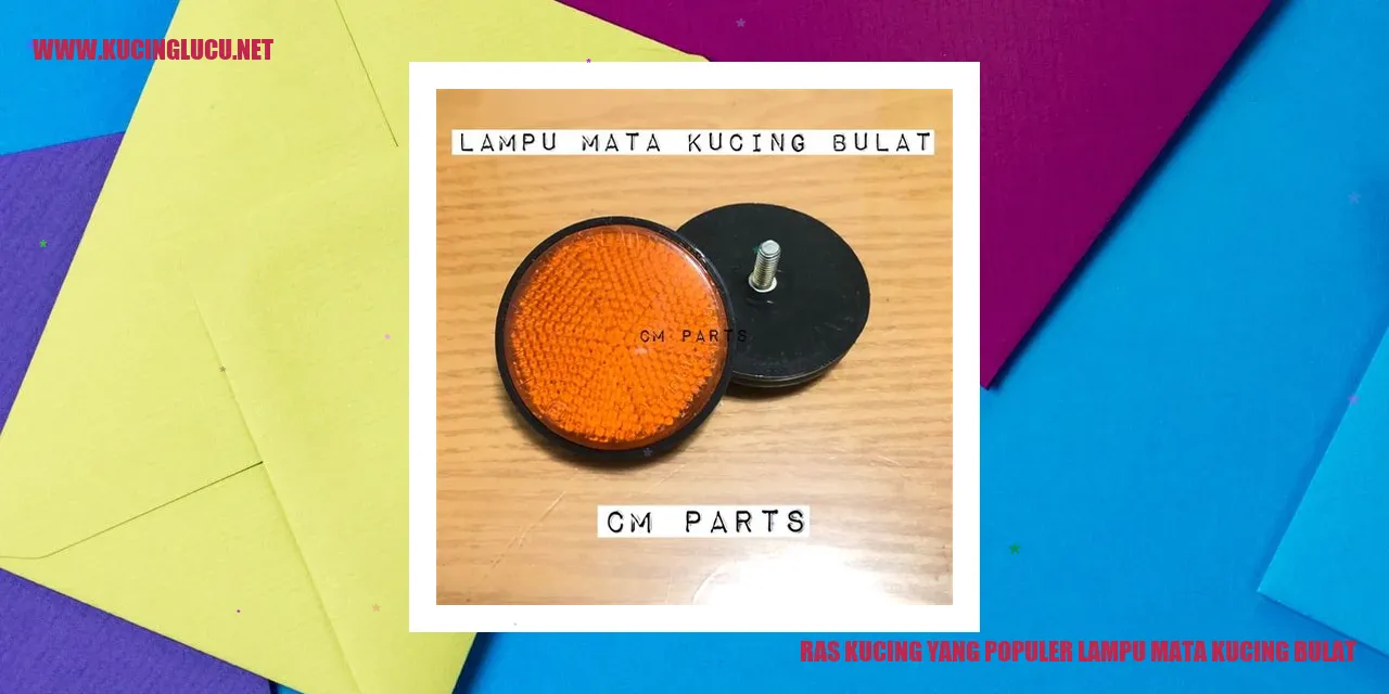 Ras Kucing dengan Mata Bulat yang Menggemaskan