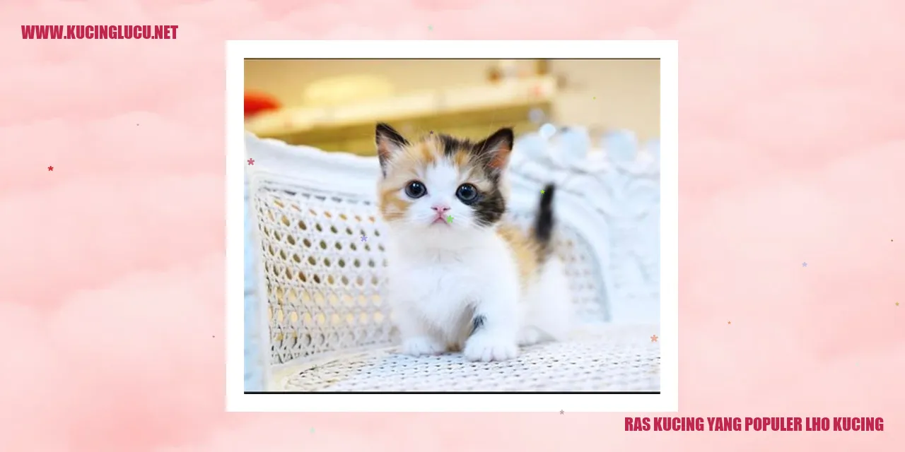 Ras Kucing yang Populer