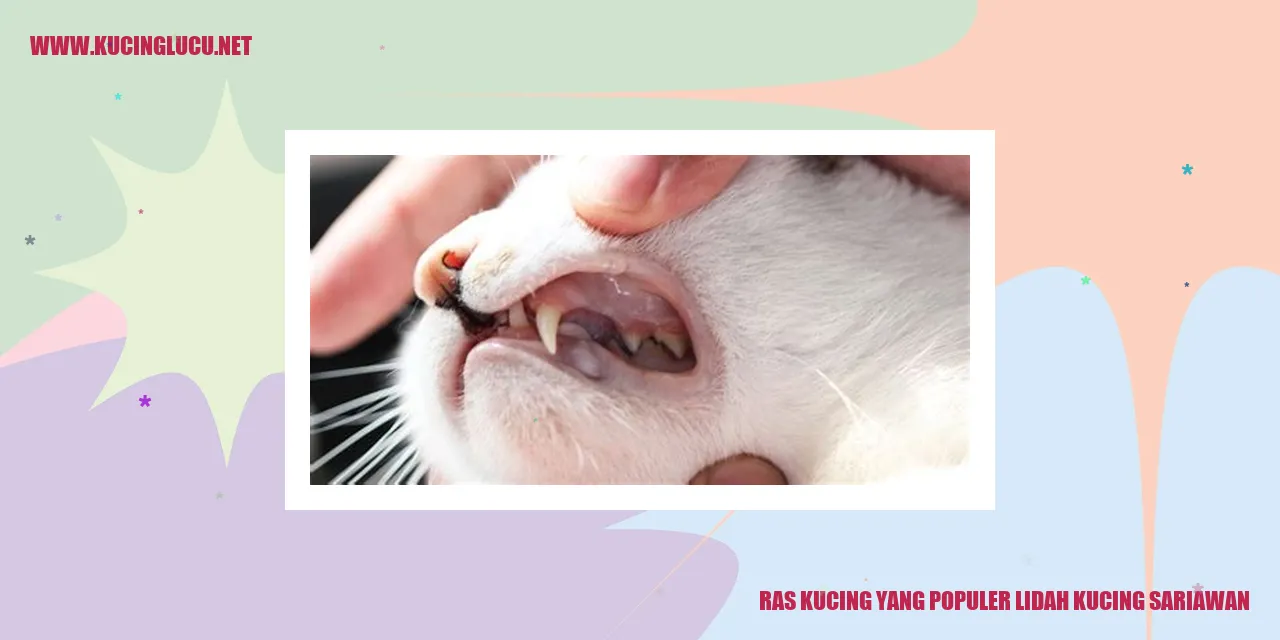Ras Kucing yang Populer lidah kucing sariawan