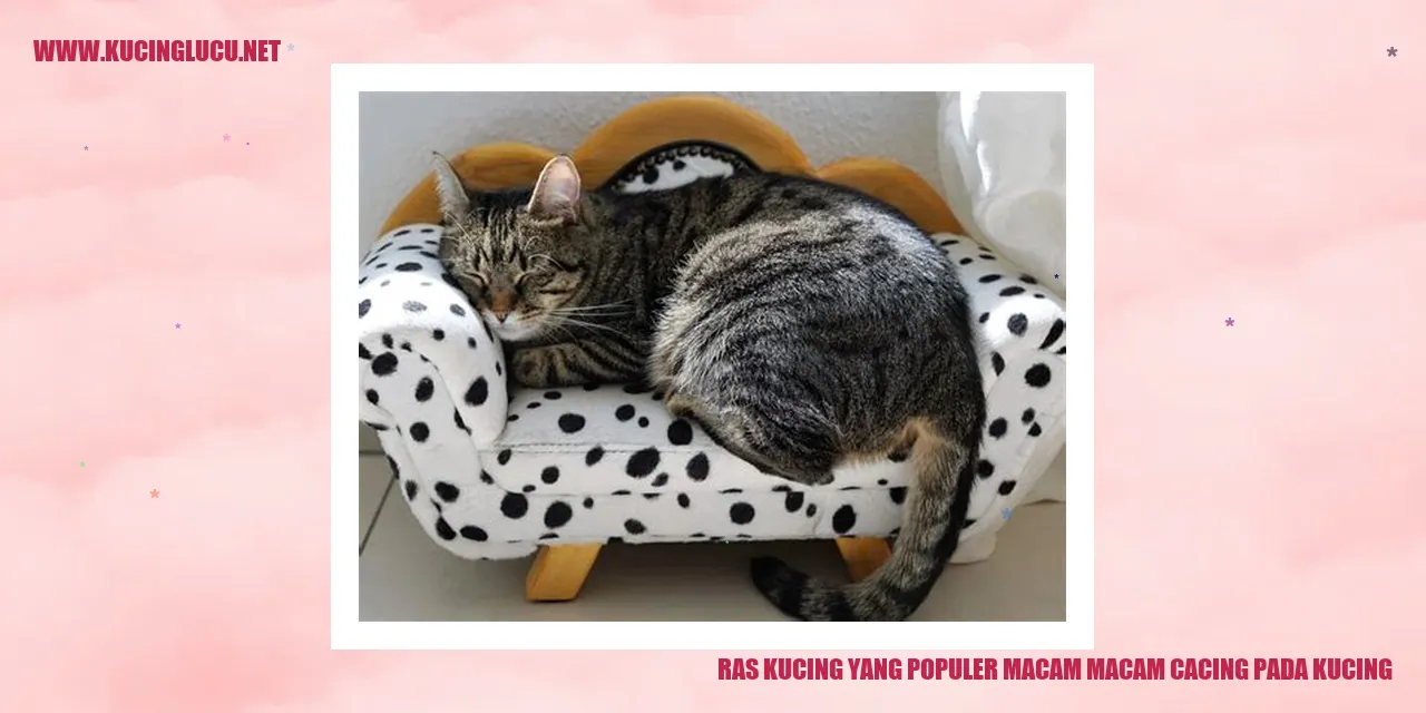 Gambar Ras Kucing yang Populer macam-macam cacing pada kucing