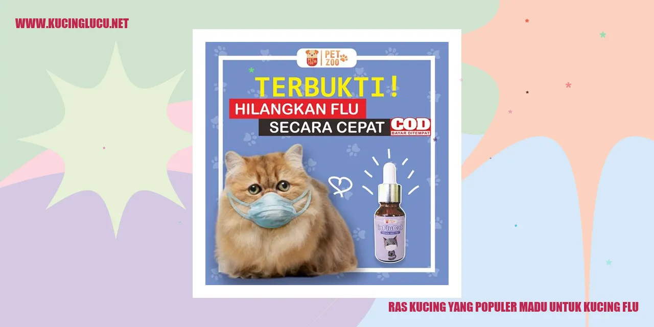 Ras Kucing yang Populer madu untuk kucing flu