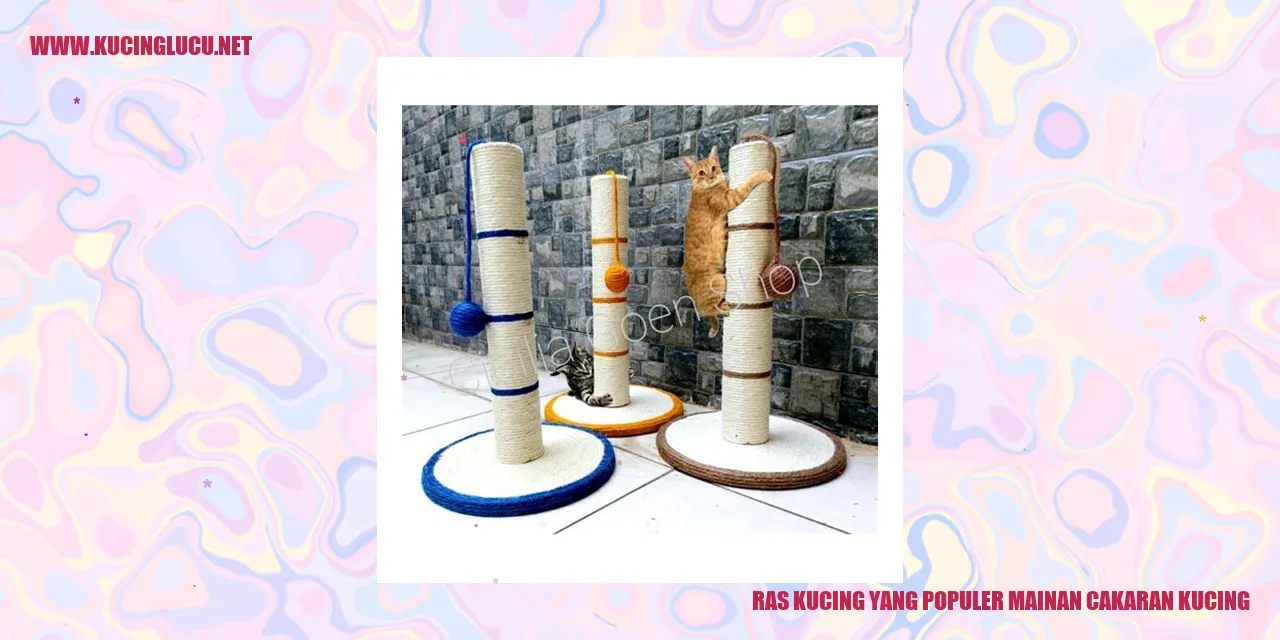 Ras Kucing yang Populer mainan cakaran kucing