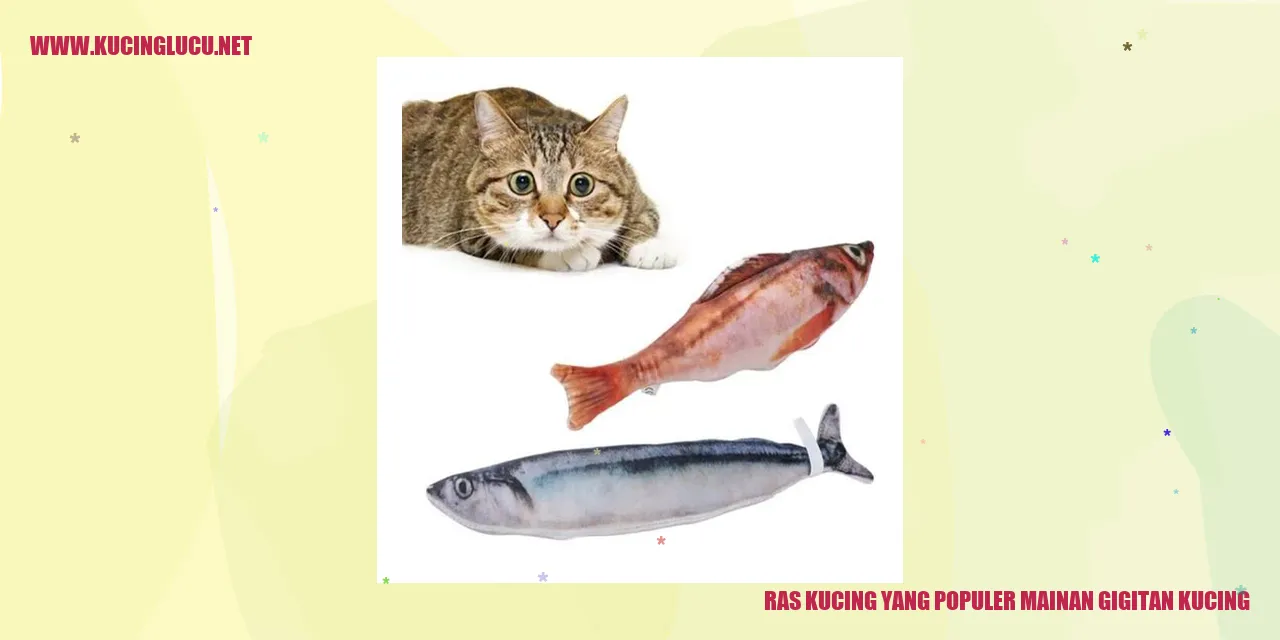 Ras Kucing yang Terkenal dengan Mainan Gigitan untuk Kucing Kesayanganmu