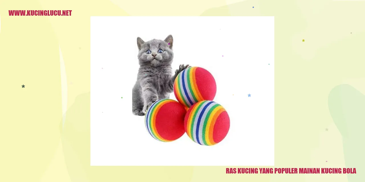 Ras Kucing yang Populer mainan kucing bola
