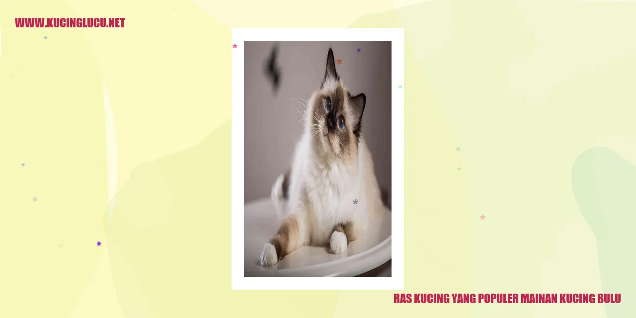 Kucing berserat halus