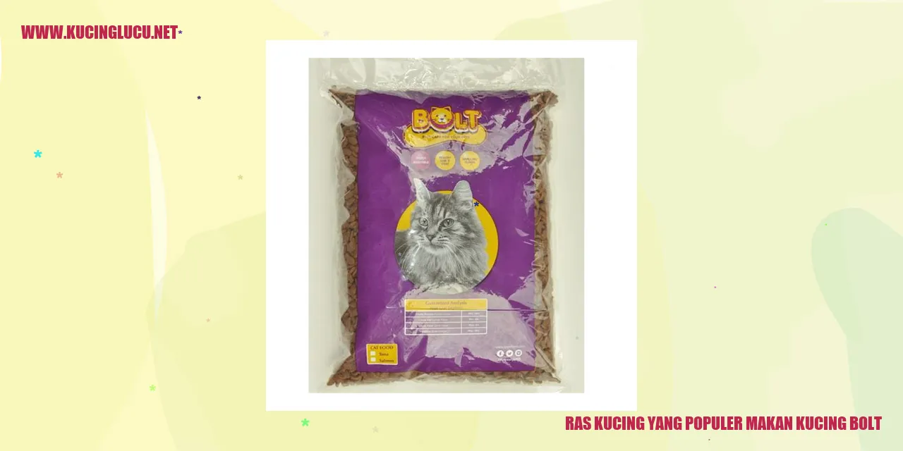 Ragam Kucing yang Terkenal Mengkonsumsi Kucing Baut