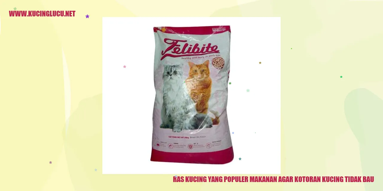 Ras Kucing yang Populer makanan agar kotoran kucing tidak bau