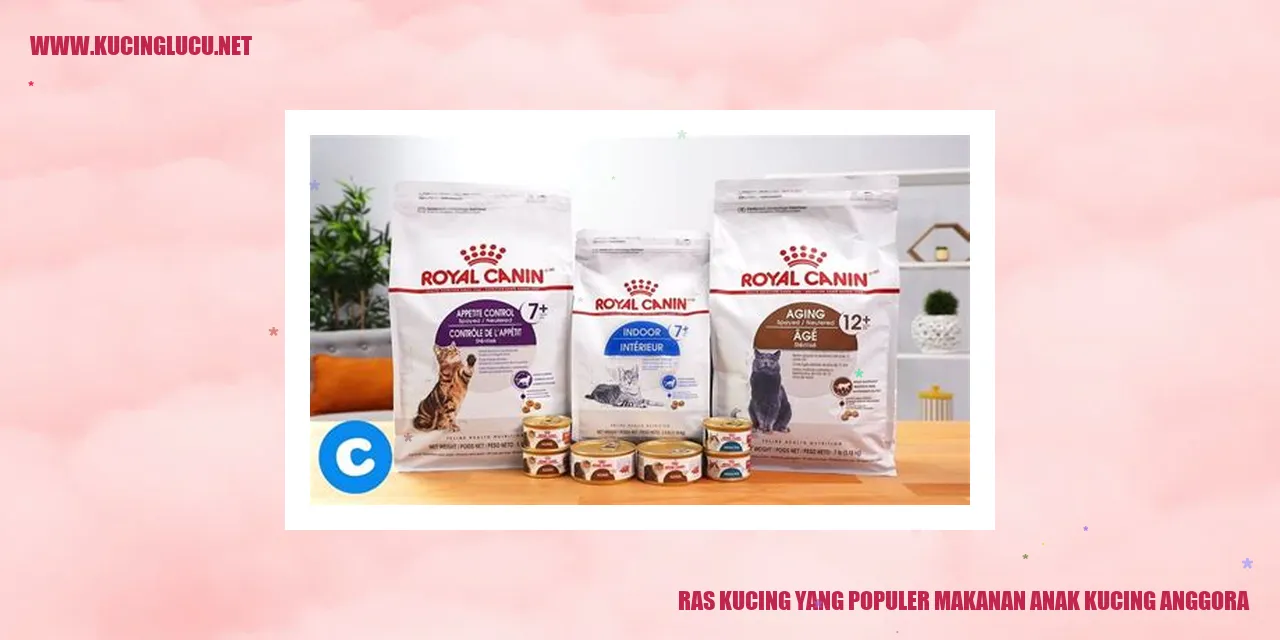 Kucing Anggora