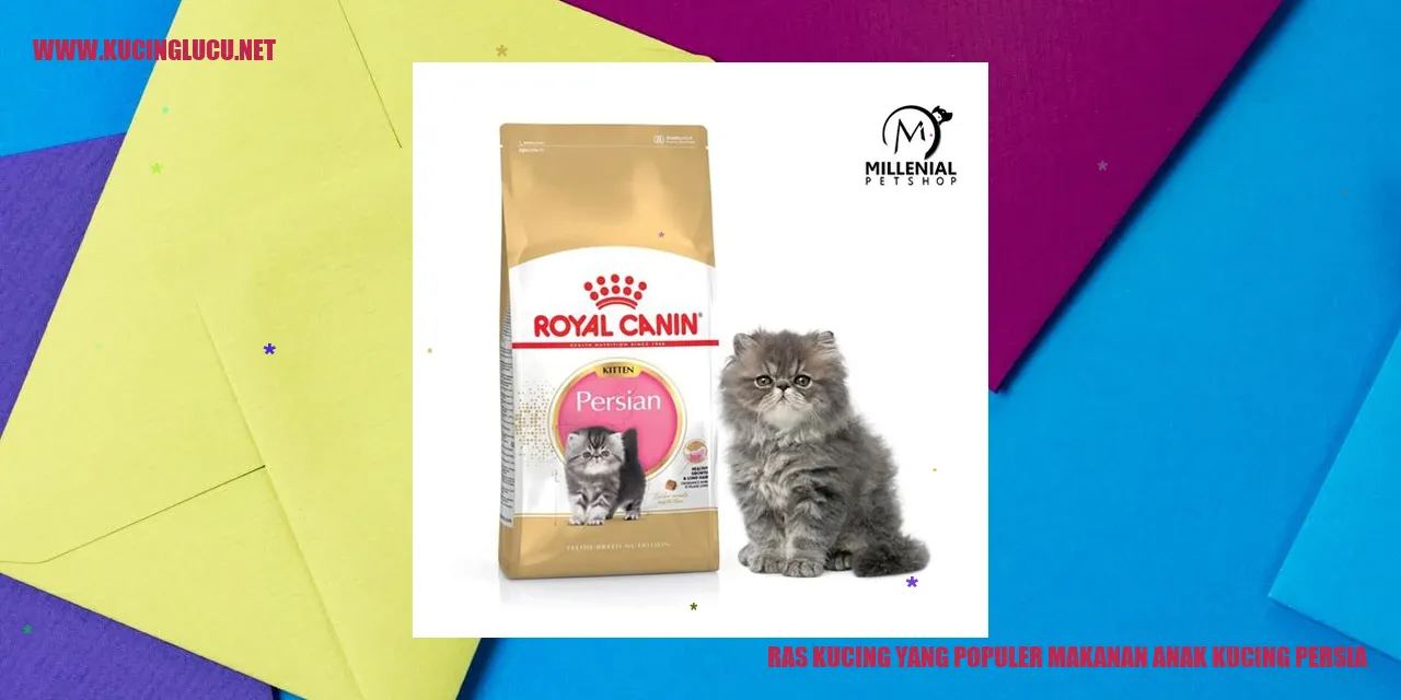 Kucing Persia
