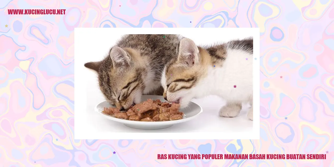 Kucing makanan basah buatan sendiri