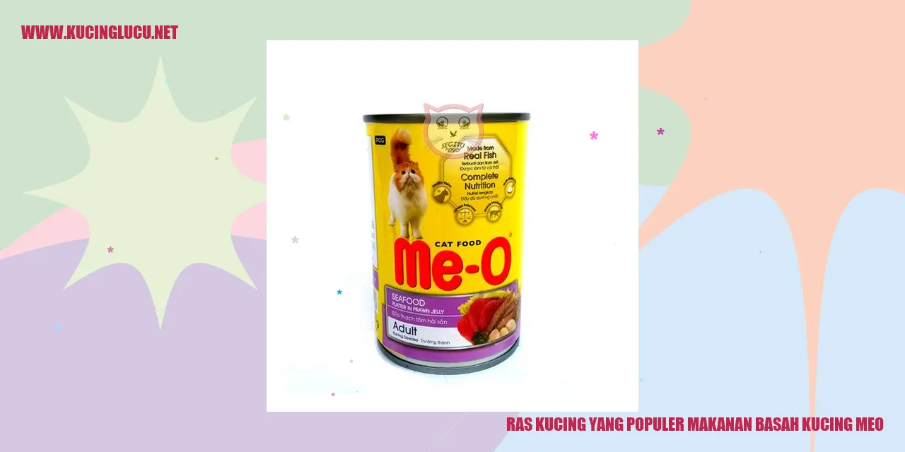 Kucing Meo