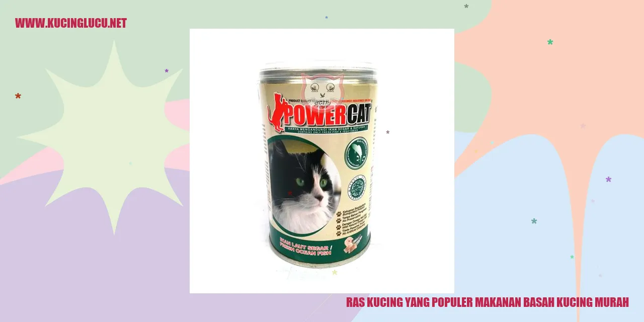Kucing Makan Makanan Basah