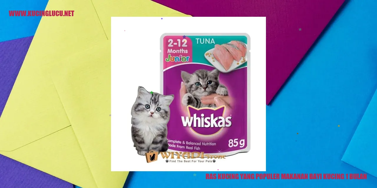 Ras Kucing yang Populer makanan bayi kucing 1 bulan