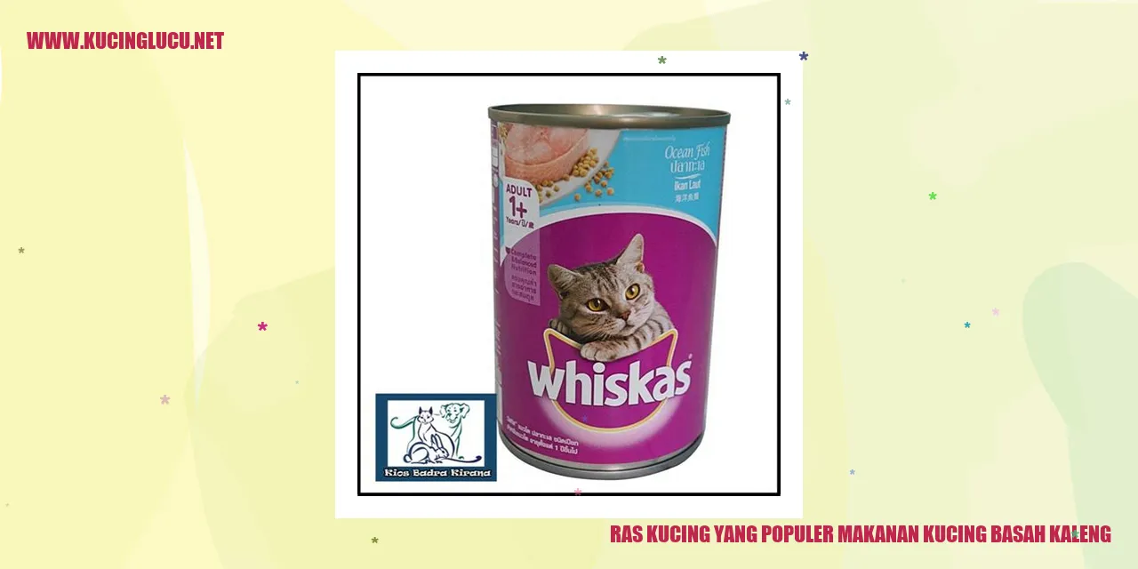 ras kucing