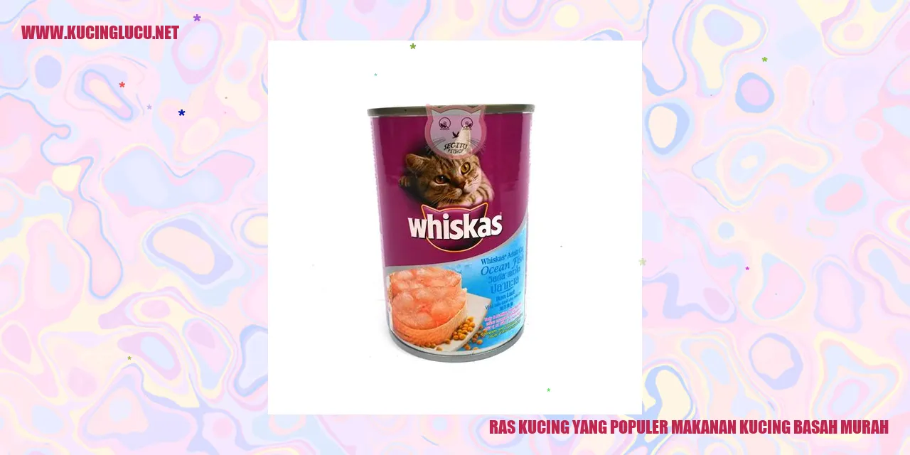 Ras Kucing yang Populer makanan kucing basah murah