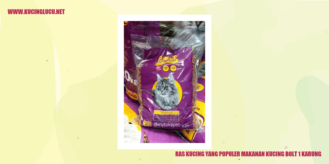 Gambar Ras Kucing yang Populer