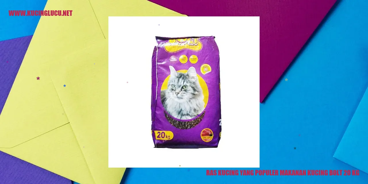 Kucing