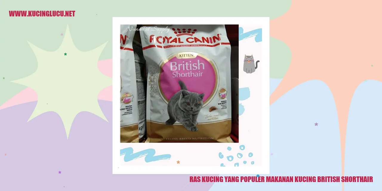 Gambar British Shorthair