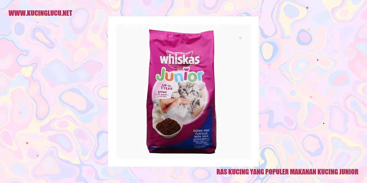 Ras Kucing yang Populer Makanan Kucing Junior