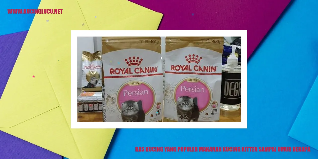 Ras Kucing yang Populer Makanan Kucing Kitten Sampai Umur Berapa