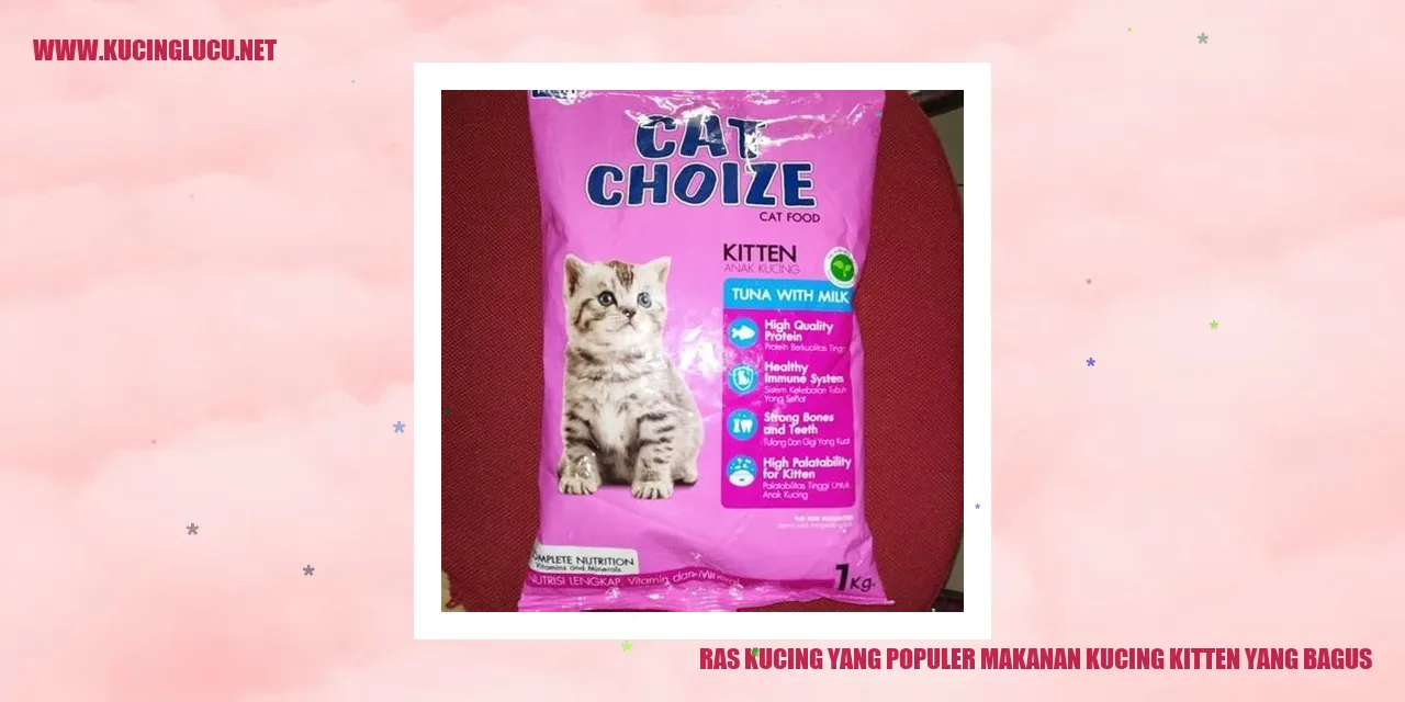 Ras Kucing yang Populer makanan kucing kitten yang bagus