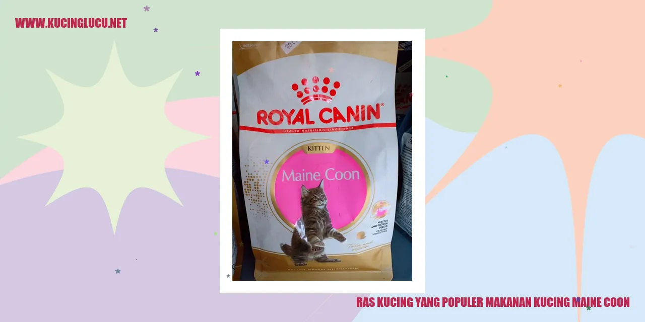 Gambar Kucing Maine Coon