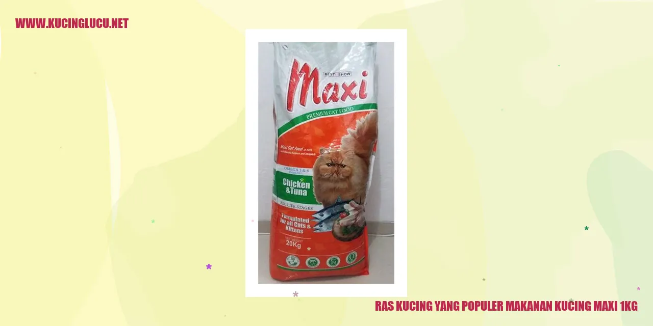 Kucing dengan makanan maxi 1kg