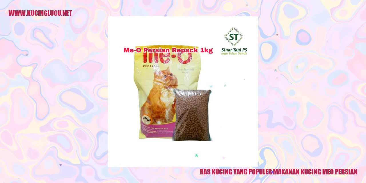 Kucing Meo Persian