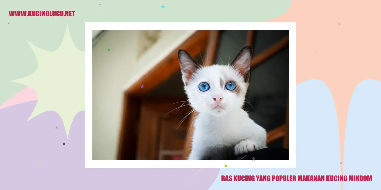Kucing Mixdom