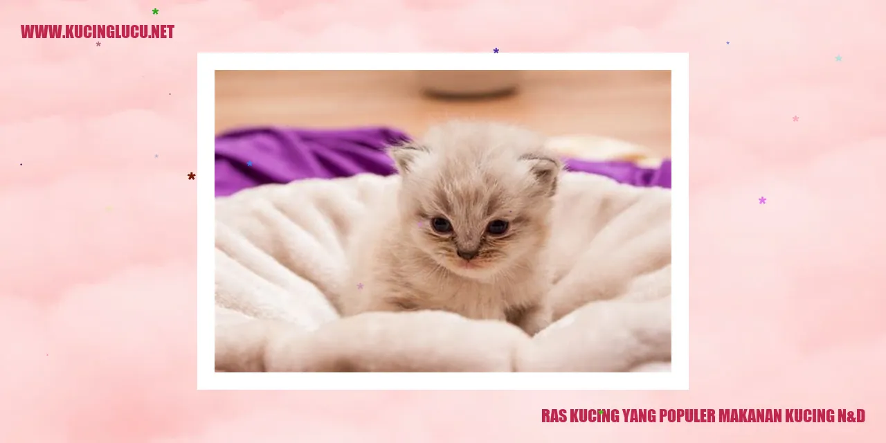 Ras Kucing yang Populer dengan Makanan Kucing N&D
