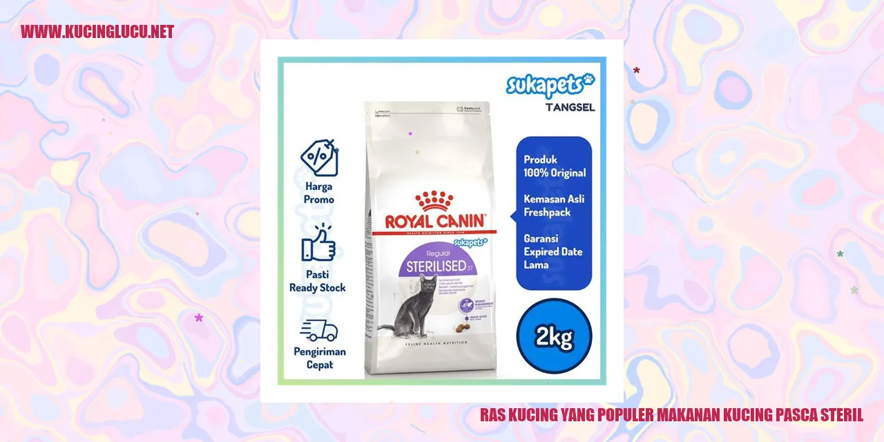 Kucing Makanan Pasca Steril