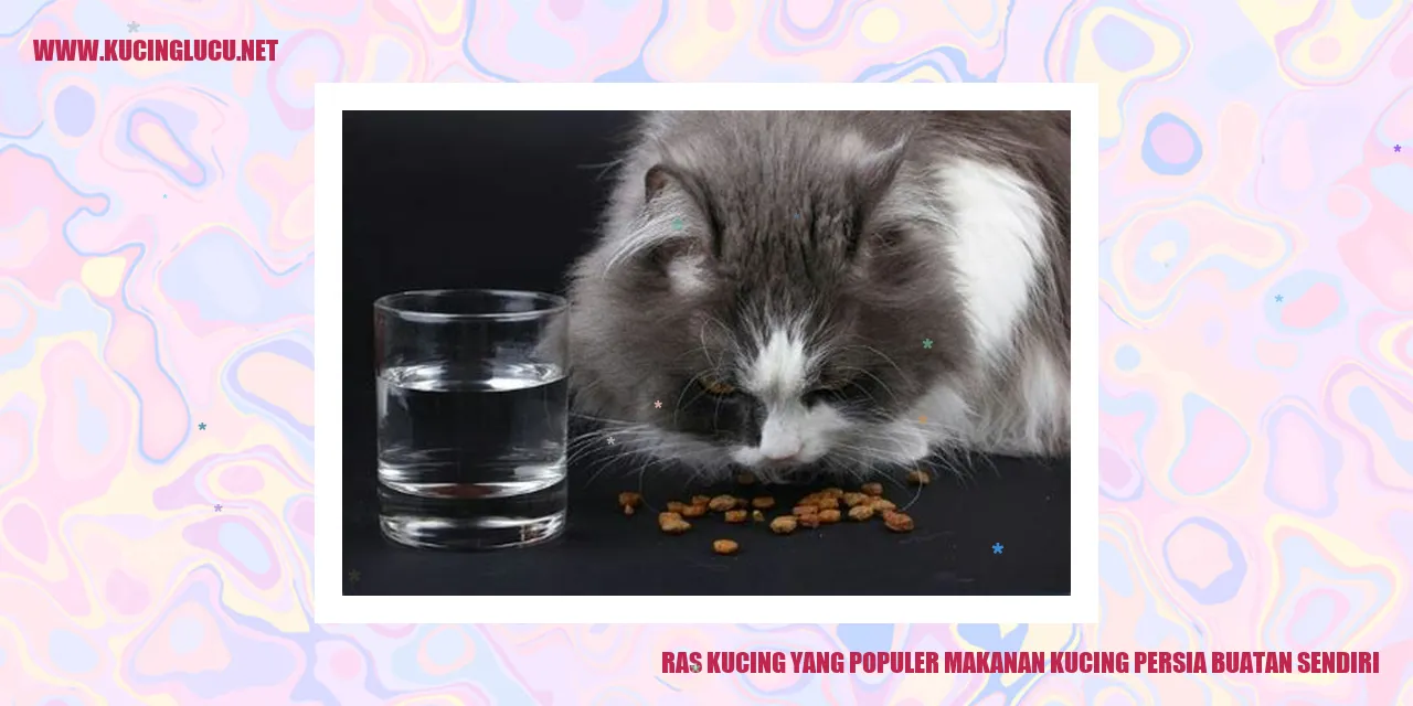 Gambar Kucing Persia