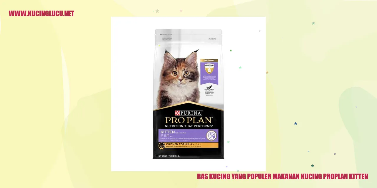Ras Kucing yang Populer makanan kucing proplan kitten