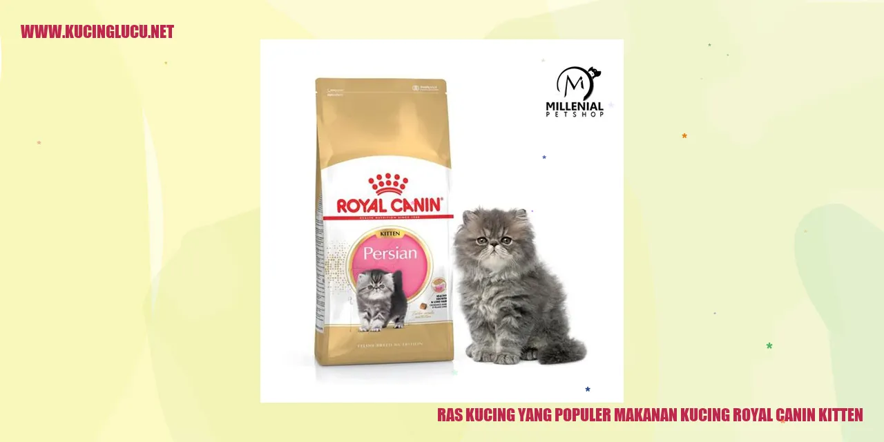 Ras Kucing yang Populer makanan kucing royal canin kitten
