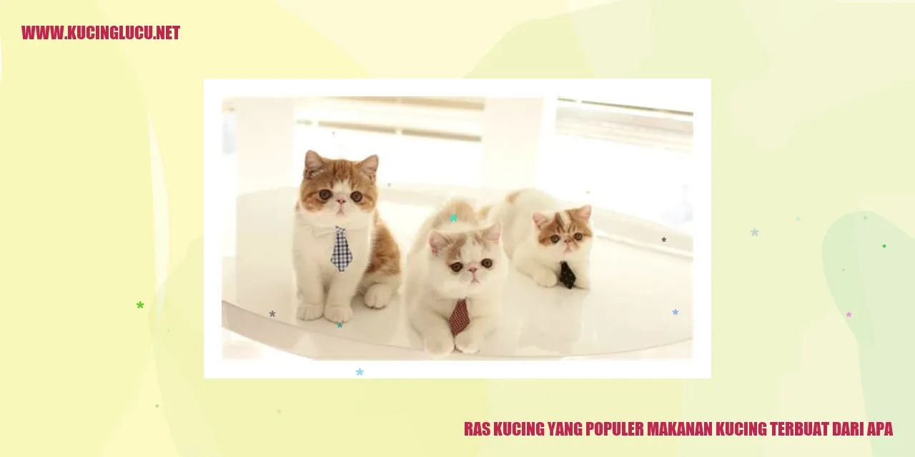 Ras Kucing yang Populer