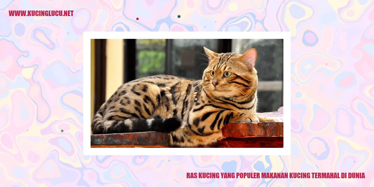 Gambar Kucing Mahal