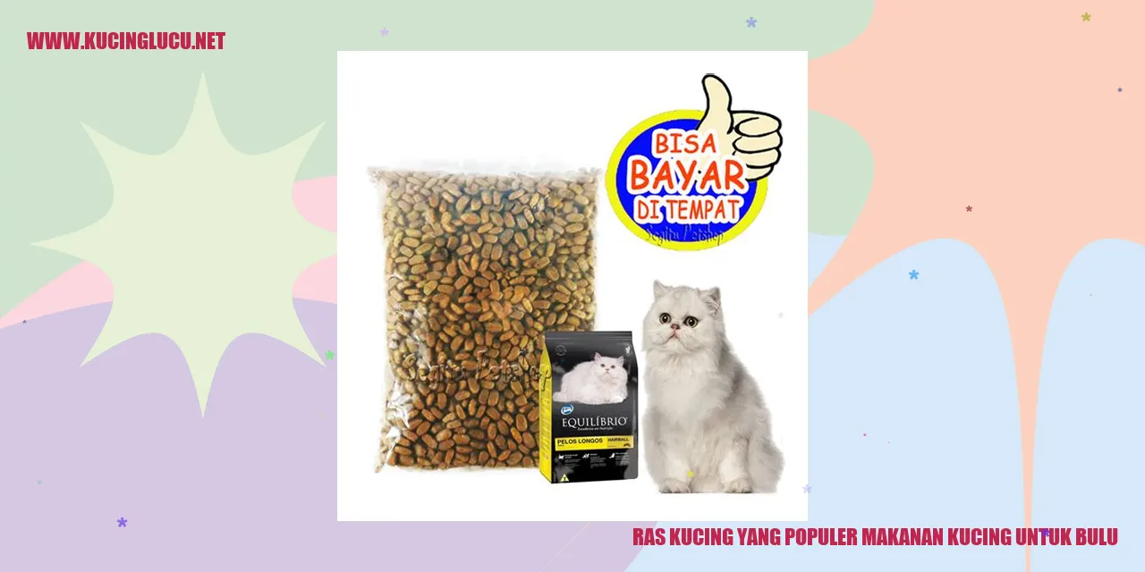 Ras Kucing yang Populer Makanan Kucing untuk Bulu