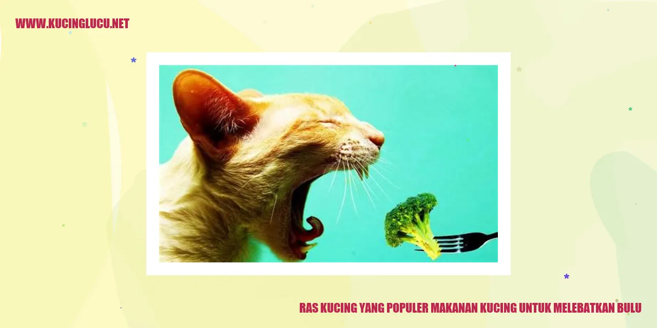 Ras Kucing yang Populer makanan kucing untuk melebatkan bulu