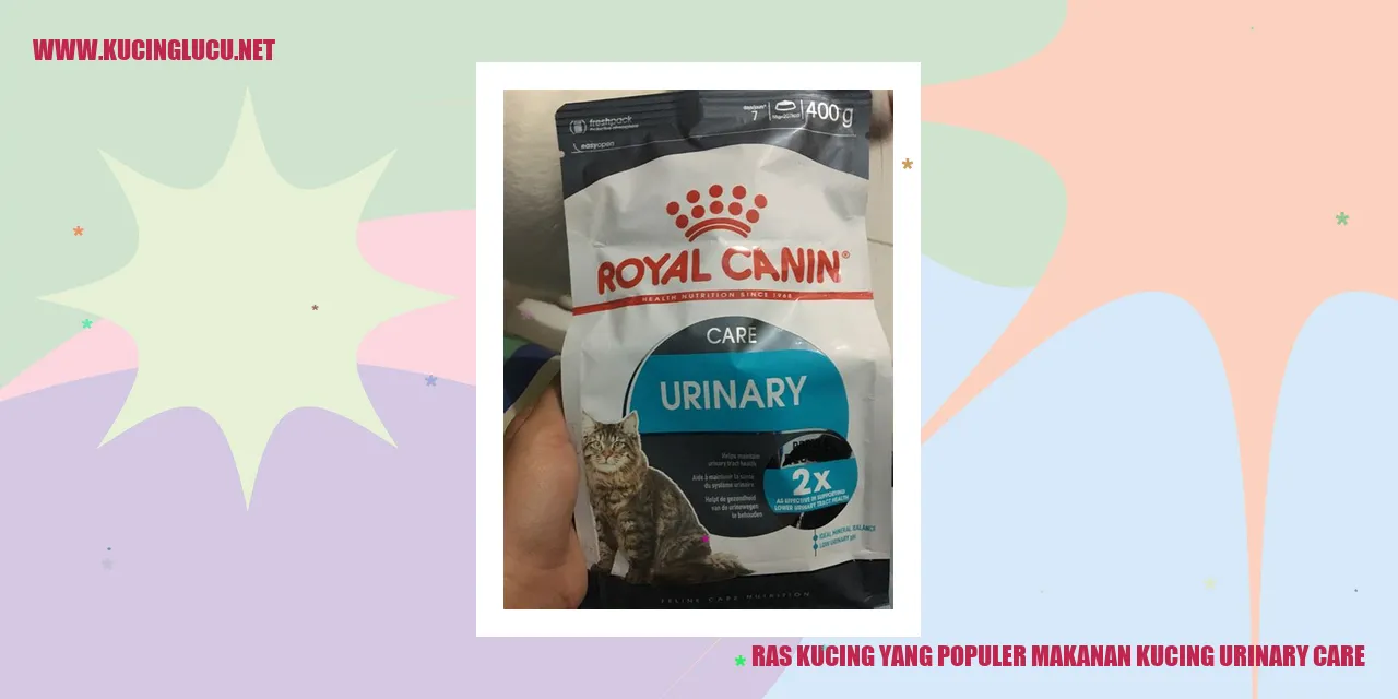 Ras Kucing yang Populer Makanan Kucing Urinary Care