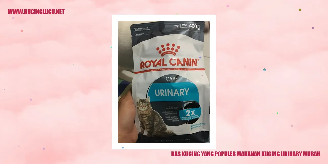 Kucing Terkenal dengan Makanan Kucing Urinary yang Harganya Terjangkau