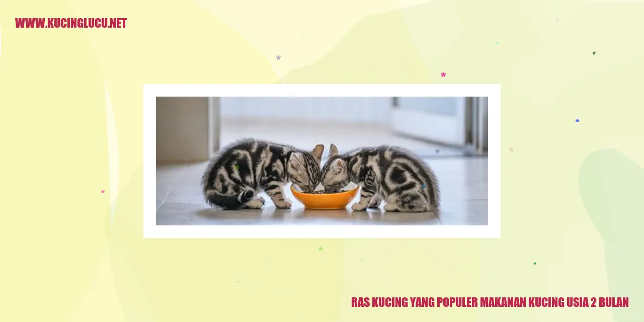 Ras Kucing yang Terkenal Makanan Kucing Usia 2 Bulan
